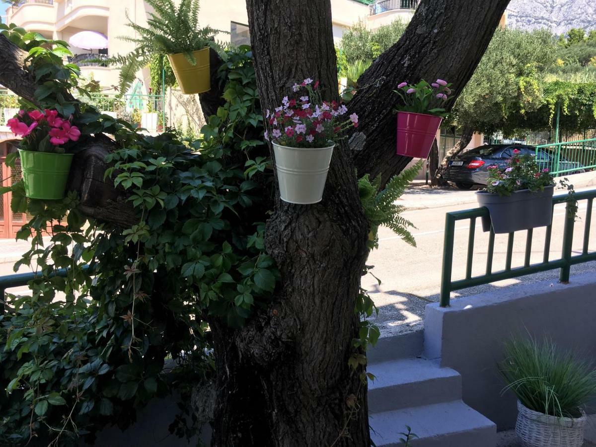 Apartmani Marko Tučepi Exteriör bild